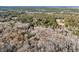 Stunning aerial shot of a home nestled amidst a vibrant and diverse forest landscape at 5219 Maybank Hwy, Wadmalaw Island, SC 29487