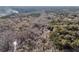Serene aerial view showcasing a home nestled within a dense, mature forest landscape at 5219 Maybank Hwy, Wadmalaw Island, SC 29487
