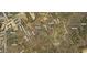 Aerial view of a wooded lot with a house, showcasing its location on Percial Ross Ln at 5219 Maybank Hwy, Wadmalaw Island, SC 29487