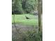 A turkey roams on a grassy backyard, surrounded by lush trees and vegetation at 5219 Maybank Hwy, Wadmalaw Island, SC 29487
