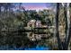 Charming home reflects on the water, surrounded by trees under sunset at 5219 Maybank Hwy, Wadmalaw Island, SC 29487