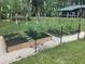 Fenced garden area with raised beds for growing vegetables and flowers at 5219 Maybank Hwy, Wadmalaw Island, SC 29487
