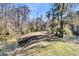 Scenic view of a tree-lined path nestled between a pond and a creek at 5219 Maybank Hwy, Wadmalaw Island, SC 29487