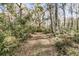 Scenic view of a wooded path with lush greenery and foliage at 5219 Maybank Hwy, Wadmalaw Island, SC 29487