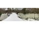 Scenic view of a snow-lined path nestled between a pond and a creek at 5219 Maybank Hwy, Wadmalaw Island, SC 29487