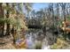 Scenic view of pond surrounded by nature at 5219 Maybank Hwy, Wadmalaw Island, SC 29487