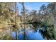 Scenic view of the pond, reflecting the surrounding trees and blue sky at 5219 Maybank Hwy, Wadmalaw Island, SC 29487