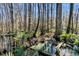 Picturesque wetlands, with lush greenery and calm waters reflecting the surrounding forest at 5219 Maybank Hwy, Wadmalaw Island, SC 29487