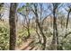 Tranquil wooded area with lush vegetation and a peaceful ambiance at 5219 Maybank Hwy, Wadmalaw Island, SC 29487