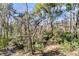 Beautiful wooded area with lush greenery and serene atmosphere at 5219 Maybank Hwy, Wadmalaw Island, SC 29487