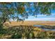 Picturesque view of the marsh with sprawling golden grasses and a vast open sky at 607 Saint Charles Ct, Charleston, SC 29407