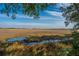 Scenic marsh landscape featuring tall grasses, winding waterways, and distant industrial views at 607 Saint Charles Ct, Charleston, SC 29407