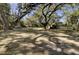 Large backyard with mature trees and two outbuildings with lots of shade at 1042 Chambers Ln, Mount Pleasant, SC 29464