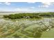 Aerial view of marshy coastline and large waterfront home with long dock at 1105 Fort Lamar Rd, James Island, SC 29412