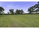 Expansive grassy land featuring green grass and mature trees, providing ample open space at 1758 Mendel Rivers Rd, Saint Stephen, SC 29479