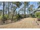 Expansive backyard features mature trees and a secure fence, offering privacy and space for outdoor activities at 2322 Watchtower Ln, Charleston, SC 29414