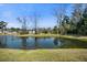 Beautiful pond view featuring ducks swimming in the water at 240 Gazania Way, Charleston, SC 29414