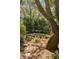 Beautiful backyard garden with lush greenery, trees, and a bird bath at 2863 Jasper Blvd, Sullivans Island, SC 29482