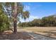 Scenic view of a golf course and surrounding trees, showcasing the natural beauty of the community at 2928 Baywood Dr, Seabrook Island, SC 29455