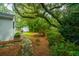Lush backyard featuring a winding brick path, mature trees, and a storage shed at 313 Queen St, Mount Pleasant, SC 29464