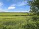 Scenic marsh view with blue skies and distant houses on the horizon at 313 Queen St, Mount Pleasant, SC 29464