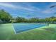 Outdoor tennis courts surrounded by lush greenery under a partly cloudy sky at 313 Queen St, Mount Pleasant, SC 29464