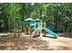 Community playground with slide, climbing bars, and other kid-friendly equipment surrounded by mature trees at 4057 E Amy Ln, Johns Island, SC 29455
