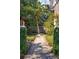 Charming backyard path framed by lush greenery and mature trees at 42 Barre St, Charleston, SC 29401