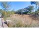 Overgrown field surrounded by trees and brush, showcasing natural beauty at 867 Colony Dr # F-82, Charleston, SC 29407