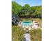 Aerial view of a pristine pool surrounded by lush landscaping, lounge chairs, and greenery at 935 Royall Ave, Mount Pleasant, SC 29464