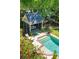 Aerial view of a backyard pool with an adjacent cabana and lounge seating surrounded by lush greenery at 935 Royall Ave, Mount Pleasant, SC 29464