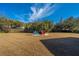 Cozy backyard firepit area with colorful Adirondack chairs at 101 Back Creek Ct, Summerville, SC 29485