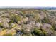 An aerial view of houses surrounded by trees in a neighborhood, with a water view in the distance at 1217 Bamboo Dr, Charleston, SC 29407