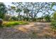 Large grassy backyard offers room for outdoor activities and relaxation at 232 Haddrell St, Mount Pleasant, SC 29464