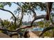 Scenic view of a bridge and harbor visible through trees and branches at 232 Haddrell St, Mount Pleasant, SC 29464