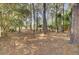 View of the forest from the backyard at 3334 Cottonfield Dr, Mount Pleasant, SC 29466