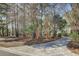 Long driveway leading to a secluded home surrounded by mature trees at 3334 Cottonfield Dr, Mount Pleasant, SC 29466