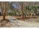 Picturesque driveway lined with mature trees and lush greenery leading to the house, providing serene access at 3334 Cottonfield Dr, Mount Pleasant, SC 29466