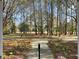 Scenic property entrance featuring a beautiful, landscaped front yard with mature trees and lush greenery at 3334 Cottonfield Dr, Mount Pleasant, SC 29466