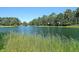 Beautiful water view with lush foliage and crystal clear blue sky above at 4162 Ten Shillings Way, Hollywood, SC 29470