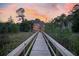Scenic backyard view from long wooden boardwalk amidst trees and sunset at 4385 Ten Shillings Way, Hollywood, SC 29470
