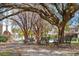 Inviting park benches under a canopy of trees offer a relaxing space to enjoy the surroundings at 6 Halsey St, Charleston, SC 29401