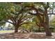 Charming playground with mature trees, swings, a slide, and climbing structures for Gathering fun at 6 Halsey St, Charleston, SC 29401