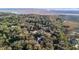 Aerial view shows a house nestled among trees near a body of water at 8834 Palmetto Rd, Edisto Island, SC 29438