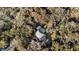 Aerial view of a secluded property with a pool surrounded by lush trees at 8834 Palmetto Rd, Edisto Island, SC 29438