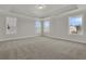 Spacious bedroom features carpet floors, a tray ceiling, and three windows at 117 Grange Cir, Summerville, SC 29486