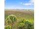 Expansive marsh view with palm trees in foreground at 166 W Mariners Cay Dr, Folly Beach, SC 29439