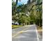 Charming street view lined with mature trees and lush greenery in a peaceful neighborhood at 3102 Hailey Ct, McClellanville, SC 29458