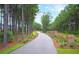 Long driveway leads to homes, lined with trees and green landscaping at 315 Pine Crest View Dr, Summerville, SC 29486