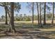Picturesque golf course view framed by mature trees, showcasing the community's natural beauty at 720 Island Park Dr # 104, Charleston, SC 29492
